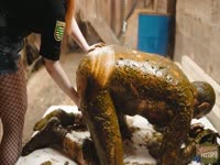Dung Prison - pegging and fucking in cowshit